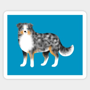 Australian Shepherd (Blue Merle) Sticker